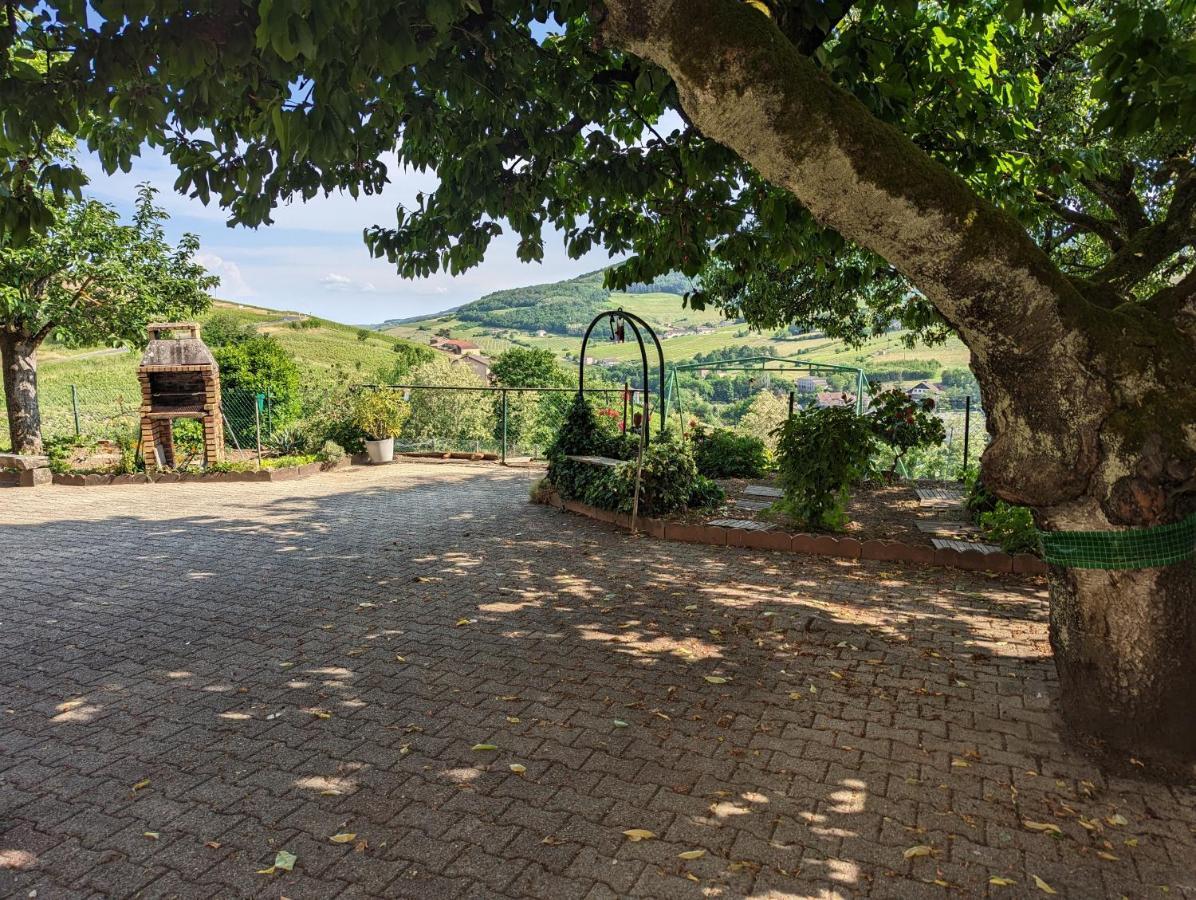 Beaujeu  Domaine Viticole Philippe Deschamps Bed & Breakfast エクステリア 写真